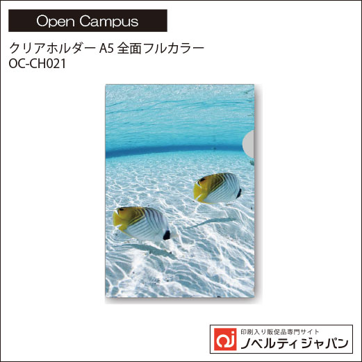 【オープンキャンパス】クリアホルダー A5全面フルカラー印刷仕上げ（OC-CH021）